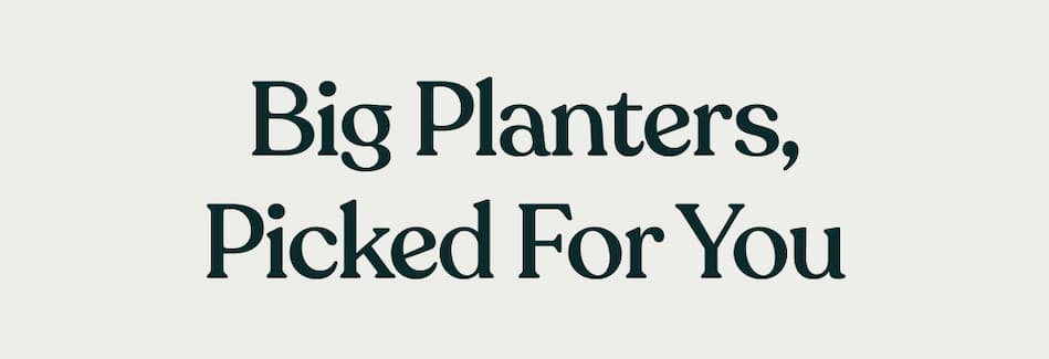 Big Planters, Picked for you.