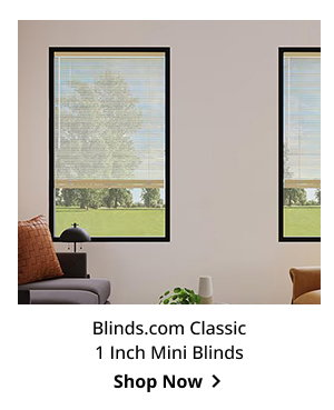Blinds.com Classic 1 Inch Mini Blinds | Shop Now >