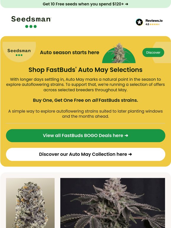FastBuds, Auto May lineup