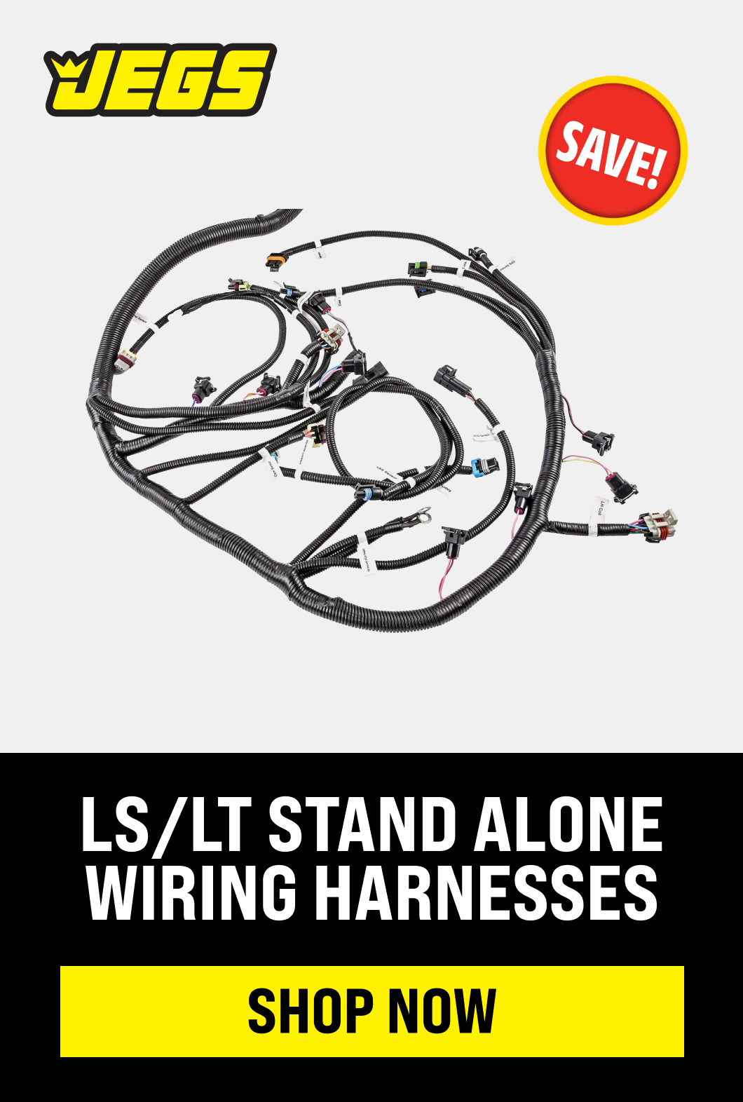 LS/LT Stand Alone Wiring Harnesses