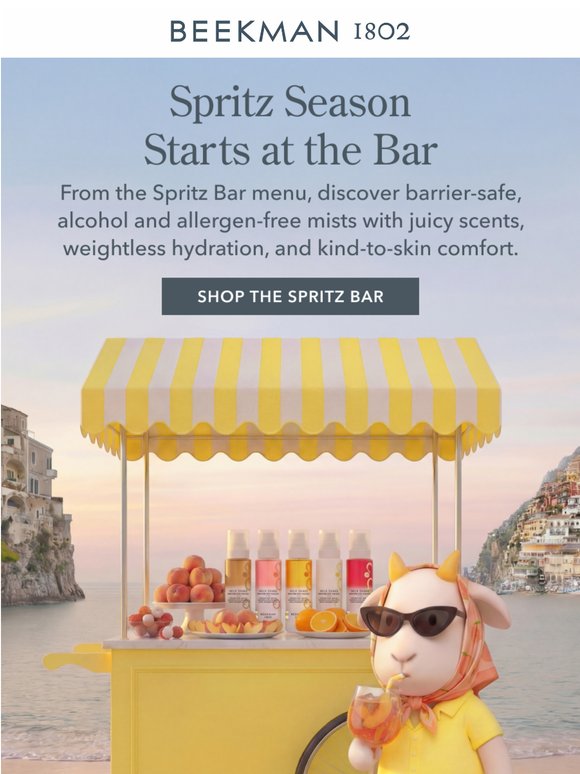 Your Spritz Bar Awaits🍹