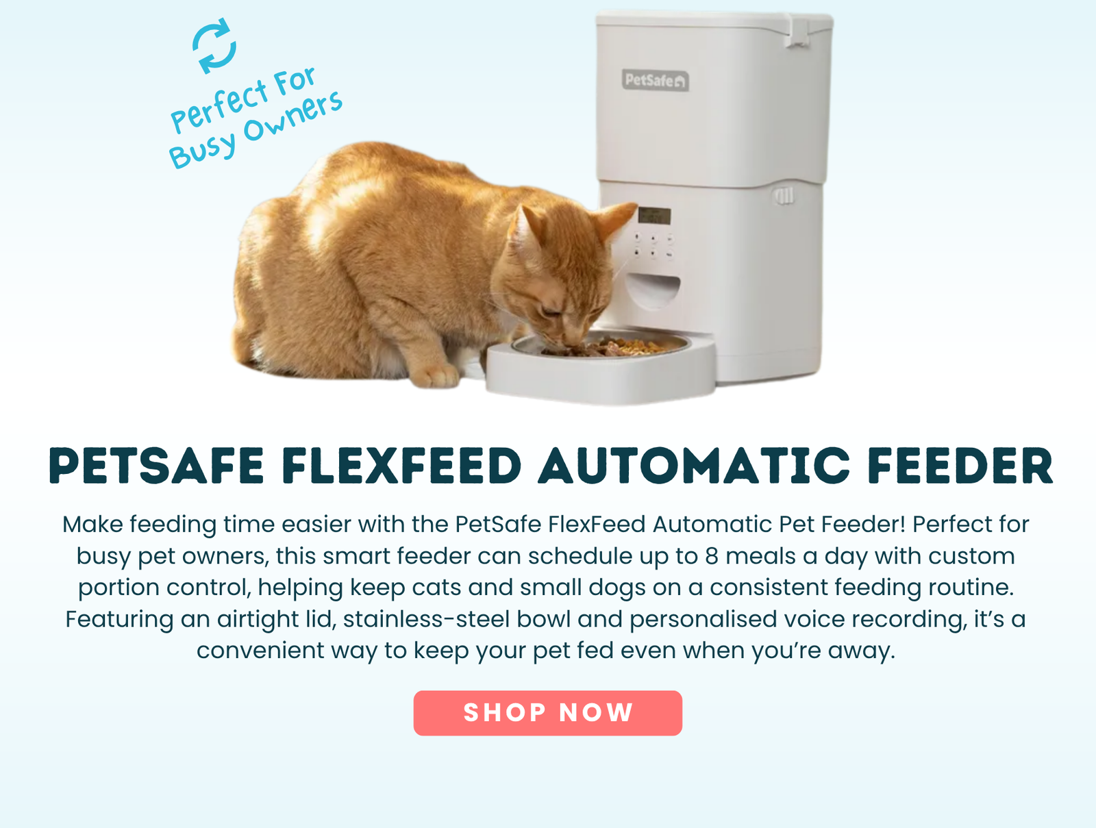 PetSafe FlexFeed Automatic Pet Feeder PFD10-18315