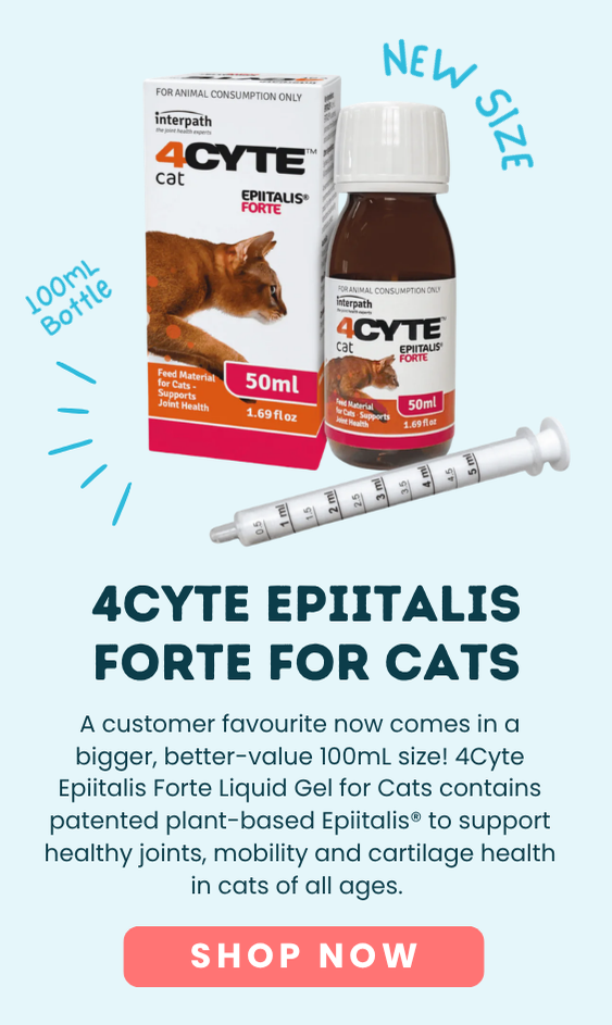 NEW SIZE 4cyte Gel For Cats