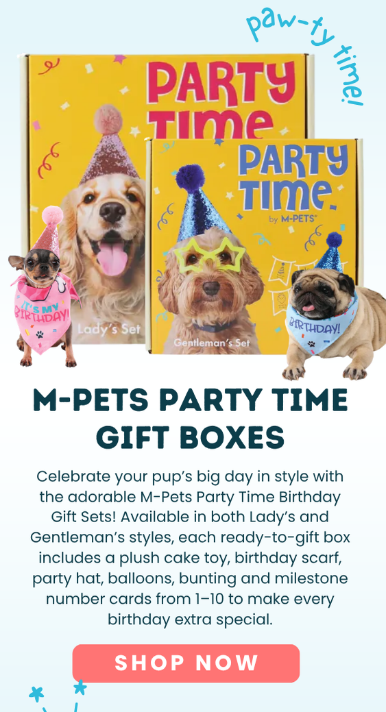 Party Time Gift Boxes