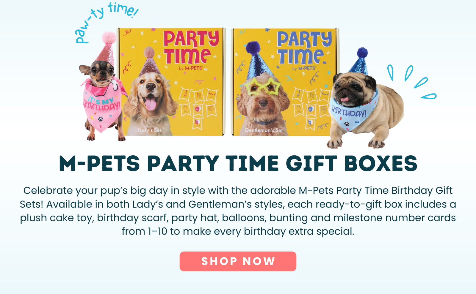 Party Time Gift Boxes