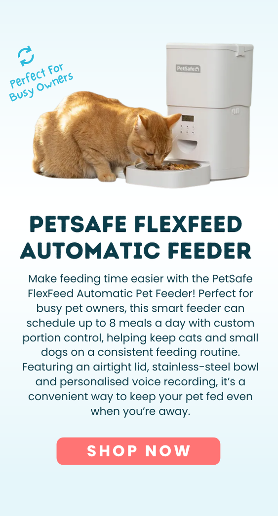 PetSafe FlexFeed Automatic Pet Feeder PFD10-18315