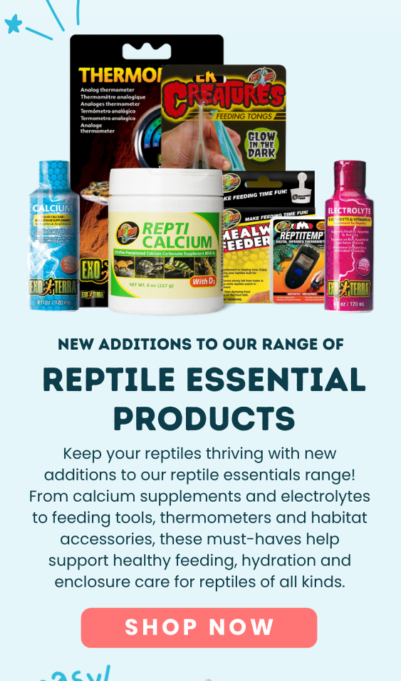 NEW REPTILE PRODUCTS