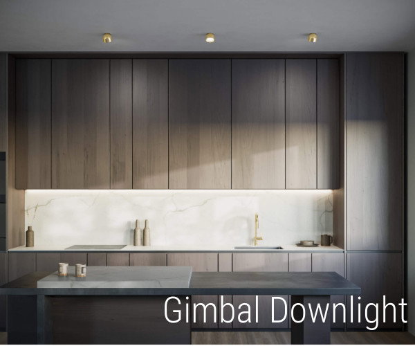 GIMBAL DOWNLIGHT