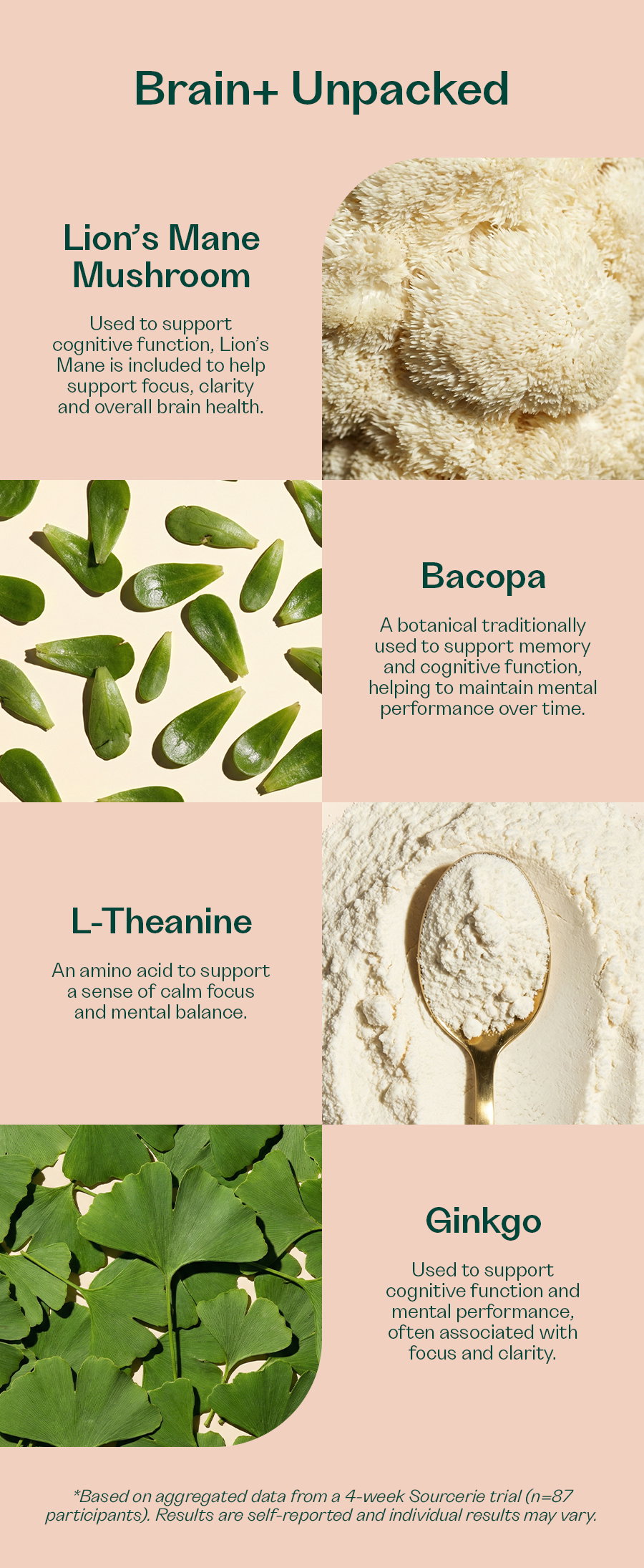 Brain+ Unpacked  Lion’s Mane Mushroom   Used to support cognitive function, Lion’s Mane is included to help support focus, clarity and overall brain health.  Bacopa  A botanical traditionally used to support memory and cognitive function, helping to maintain mental performance over time.  L-Theanine  An amino acid to support a sense of calm focus and mental balance.  Ginkgo  Used to support cognitive function and mental performance, often associated with focus and clarity.  TRY IT FOR YOURSELF READ MORE *Based on aggregated data from a 4-week Sourcerie trial (n=87 participants). Results are self-reported and individual results may vary.