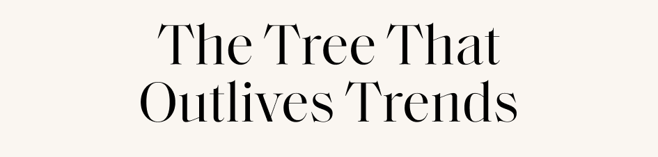 RATED 4.9/5 BY 500,000+ KARMA AND LUCK CUSTOMERS The Tree That Outlives Trends