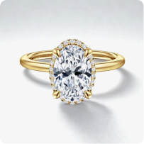 Gabriel & Co. "Bonnie" 14k Yellow Gold Hidden Halo Round Setting