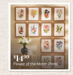 Flower of the Month