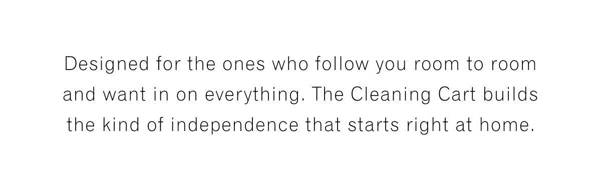 The Cleaning Cart