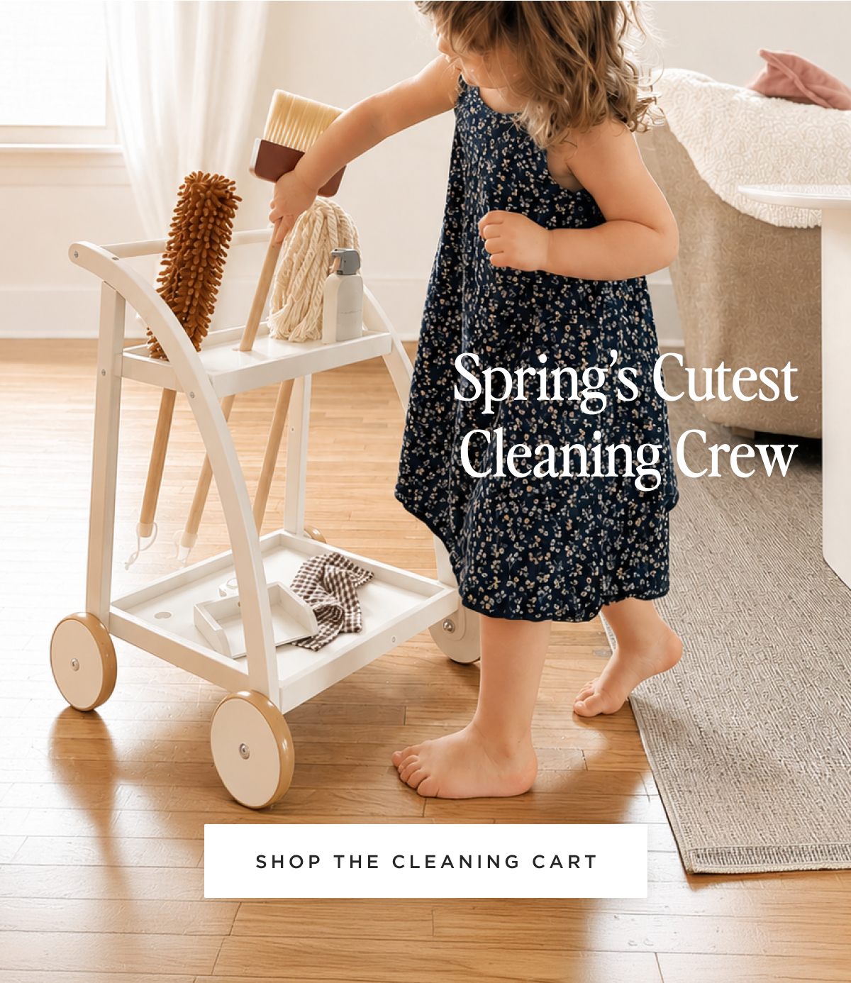 SHOP THE CLEANING CART