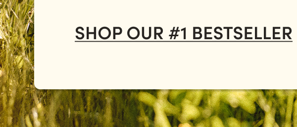 #1 best seller