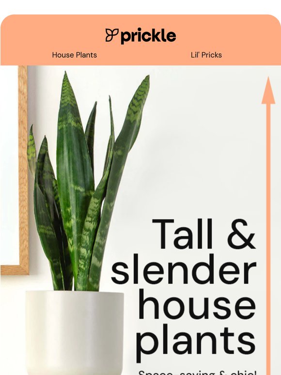 Tall and slender plants from Prickle 🌿