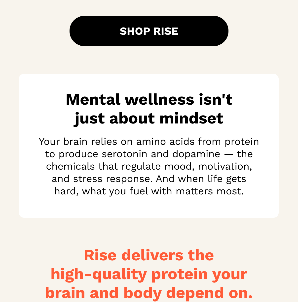 SHOP RISE