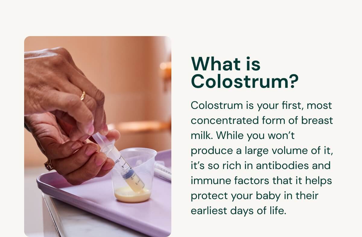 Hands collecting colostrum into a small cup with educational text about colostrum.