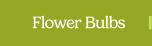 Flower Bulbs