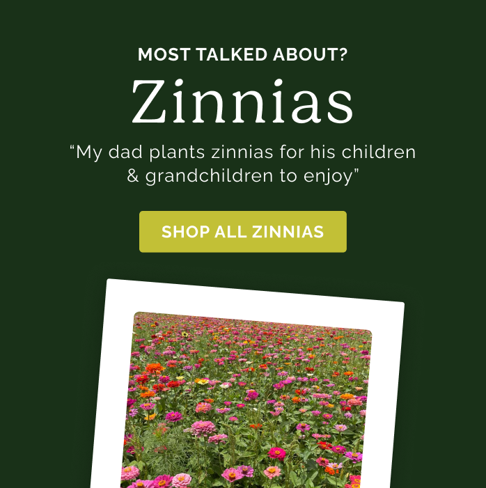 Most Talked about? Zinnias "My dad plants zinnias for his children & grandchildren to enjoy" Shop All Zinnias
