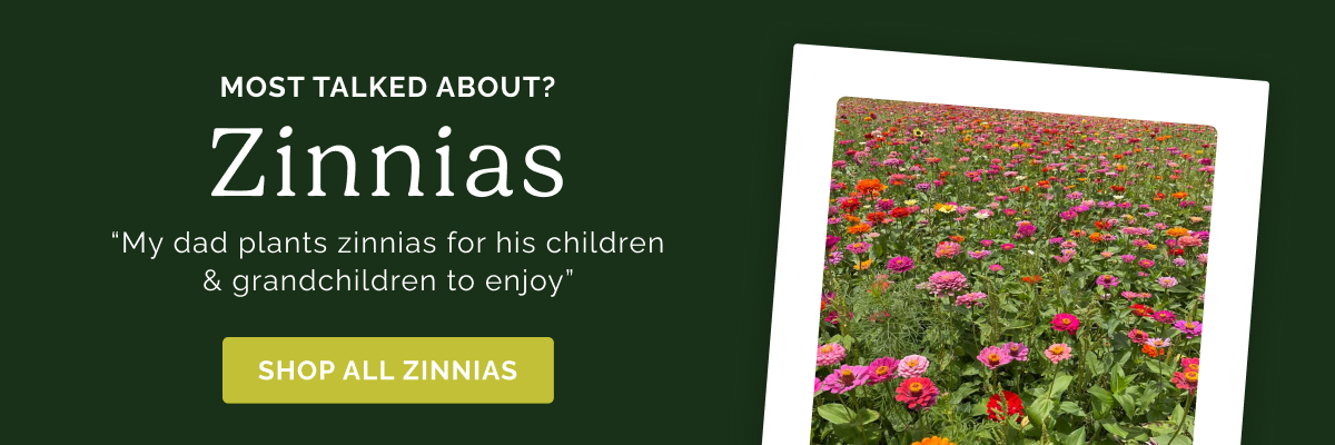 Most Talked about? Zinnias "My dad plants zinnias for his children & grandchildren to enjoy" Shop All Zinnias