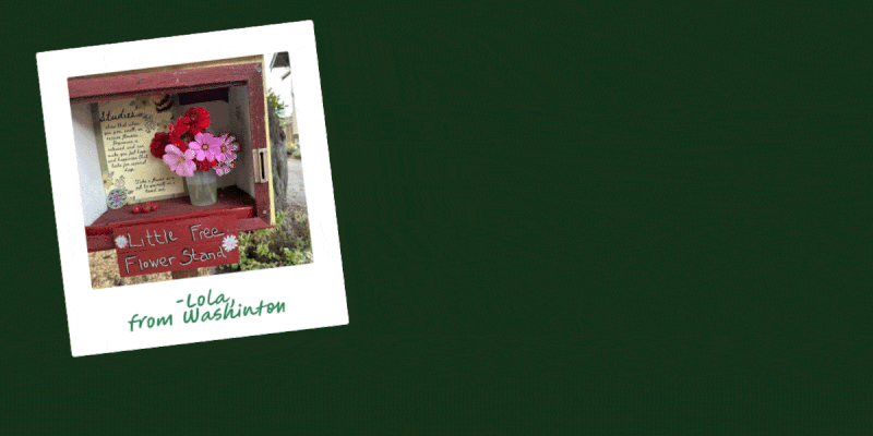 GIF of snapshot style customer photos of flowers