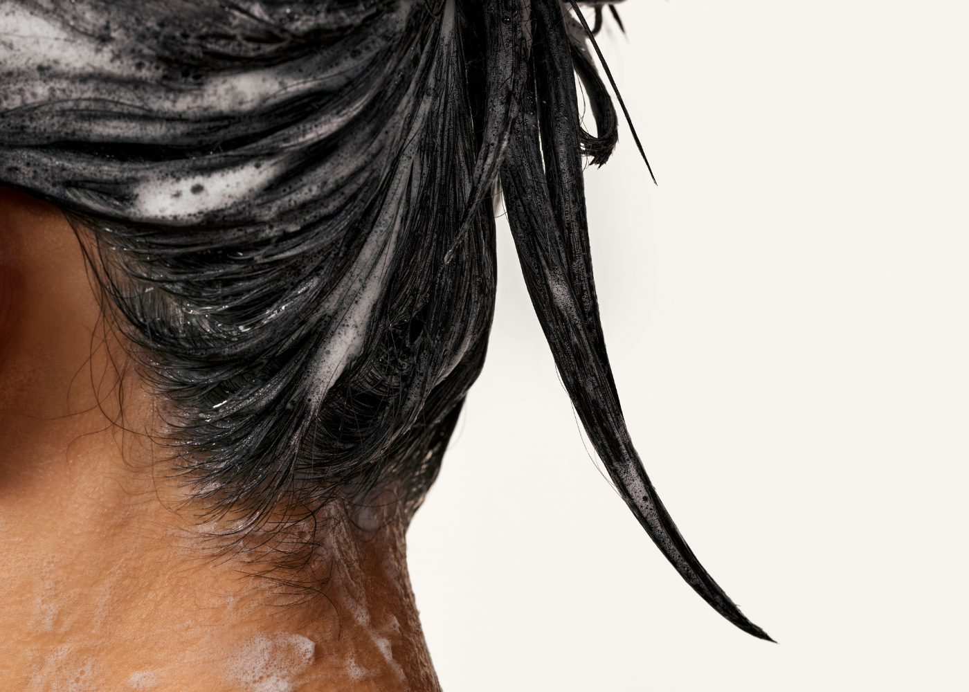 Header picture
