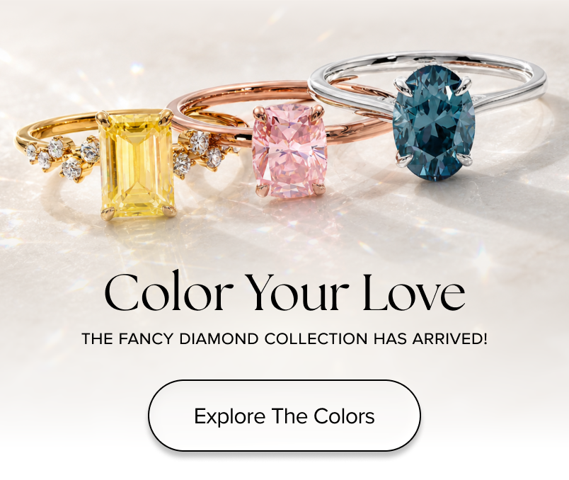 Explore The Colors