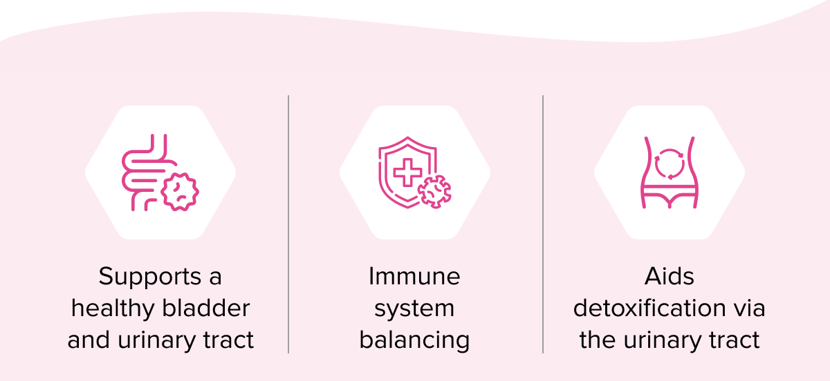 Supports a healthy bladder and urinary tract | Immune system balancing | Aids detoxification via the urinary tract