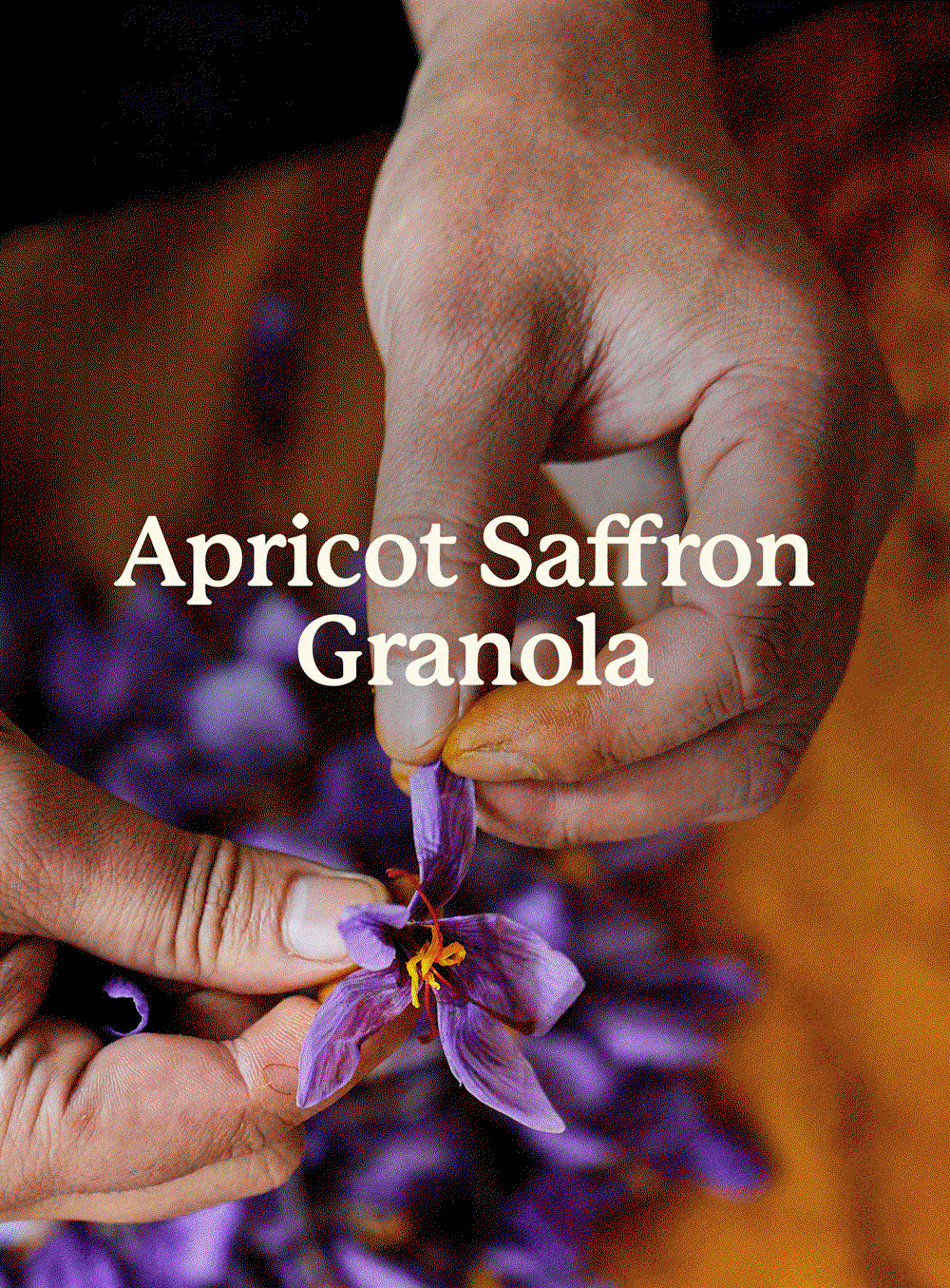 Apricot Saffron Granola