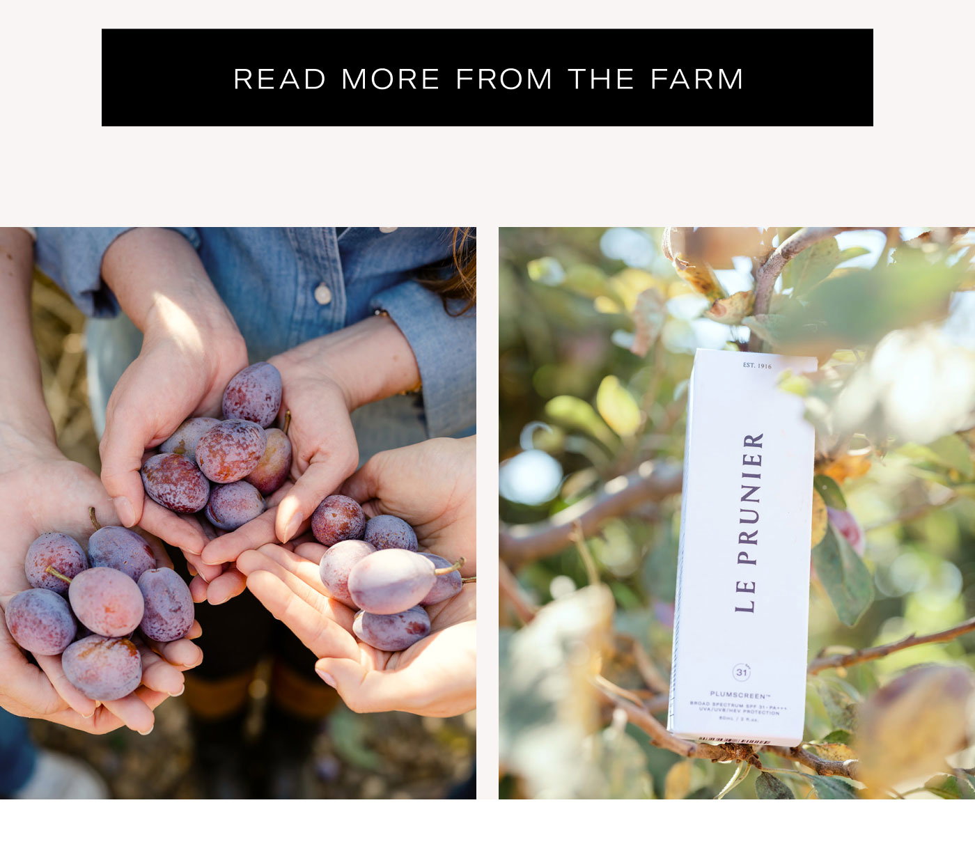 READ MORE FROM THE FARM 