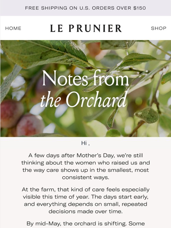 Notes from the Orchard 🌱