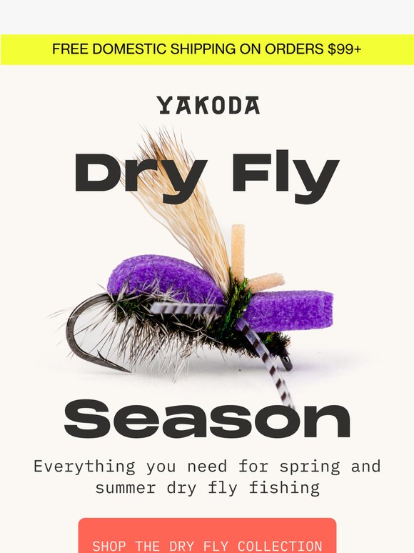 Everything You Need for Dry Fly Season