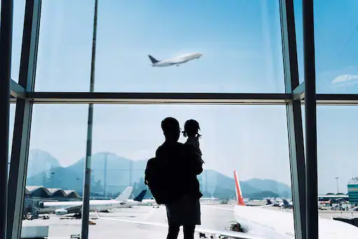 Find the lowest price for your flight 