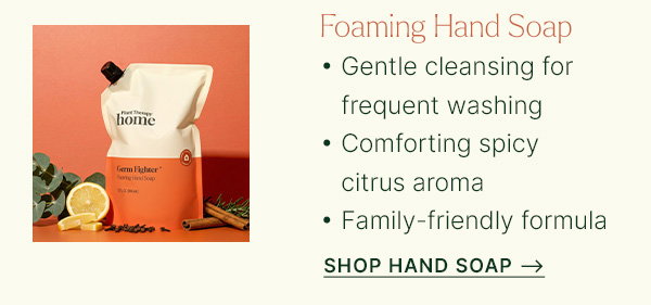 Germ Fighter Foaming Hand Soap