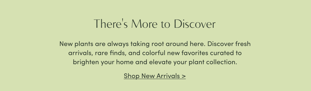 Shop new arrivals