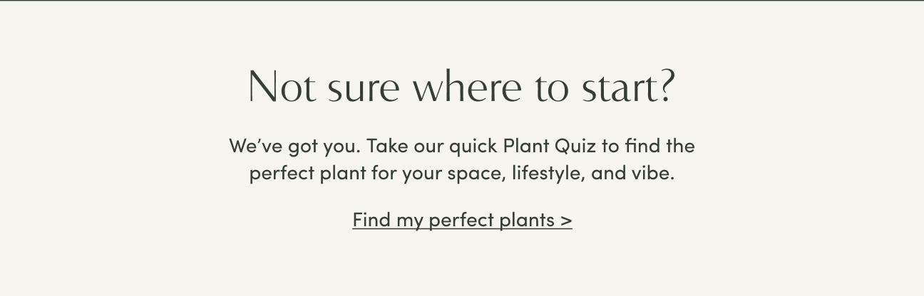 take the quiz