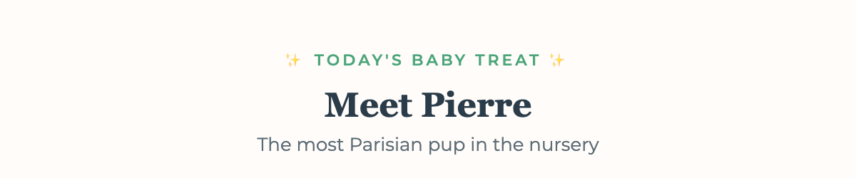 Today's Baby Treat - Pierre Dog Knit Doll BOGO offer