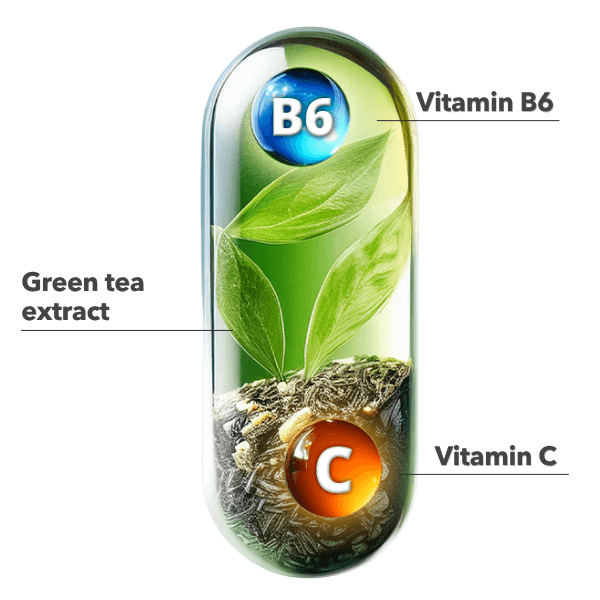 NightBurn XXL: ingredients per capsule