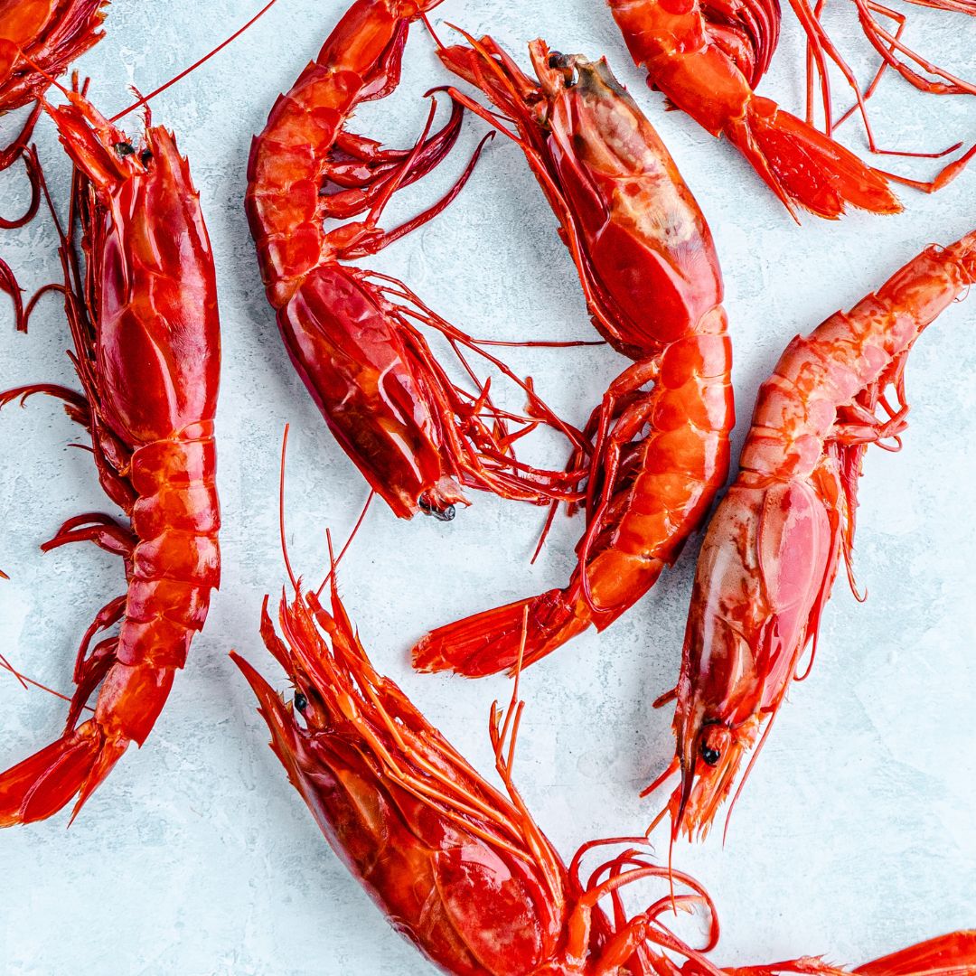 Image of Wild Carabineros Prawns