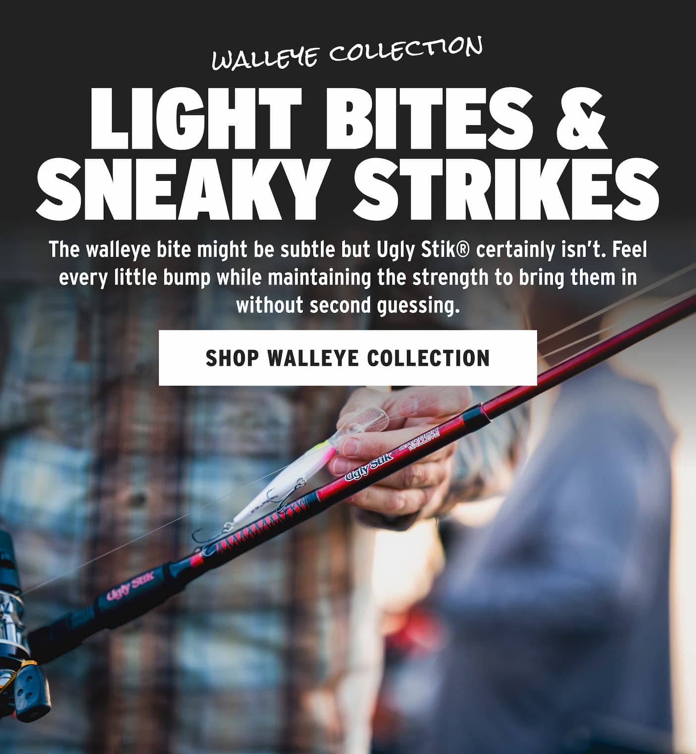 Walleye Collection Hero