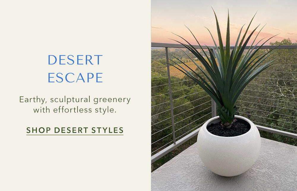Shop Desert Styles