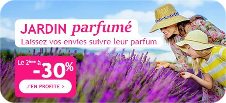 Jardin parfumé : la 2ème plante a -30% !
