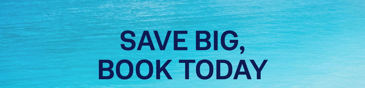 Save Big Book Today