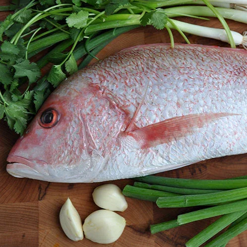 Image of Whole Red Snapper