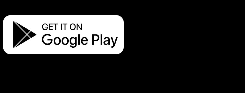 GOOGLE STORE