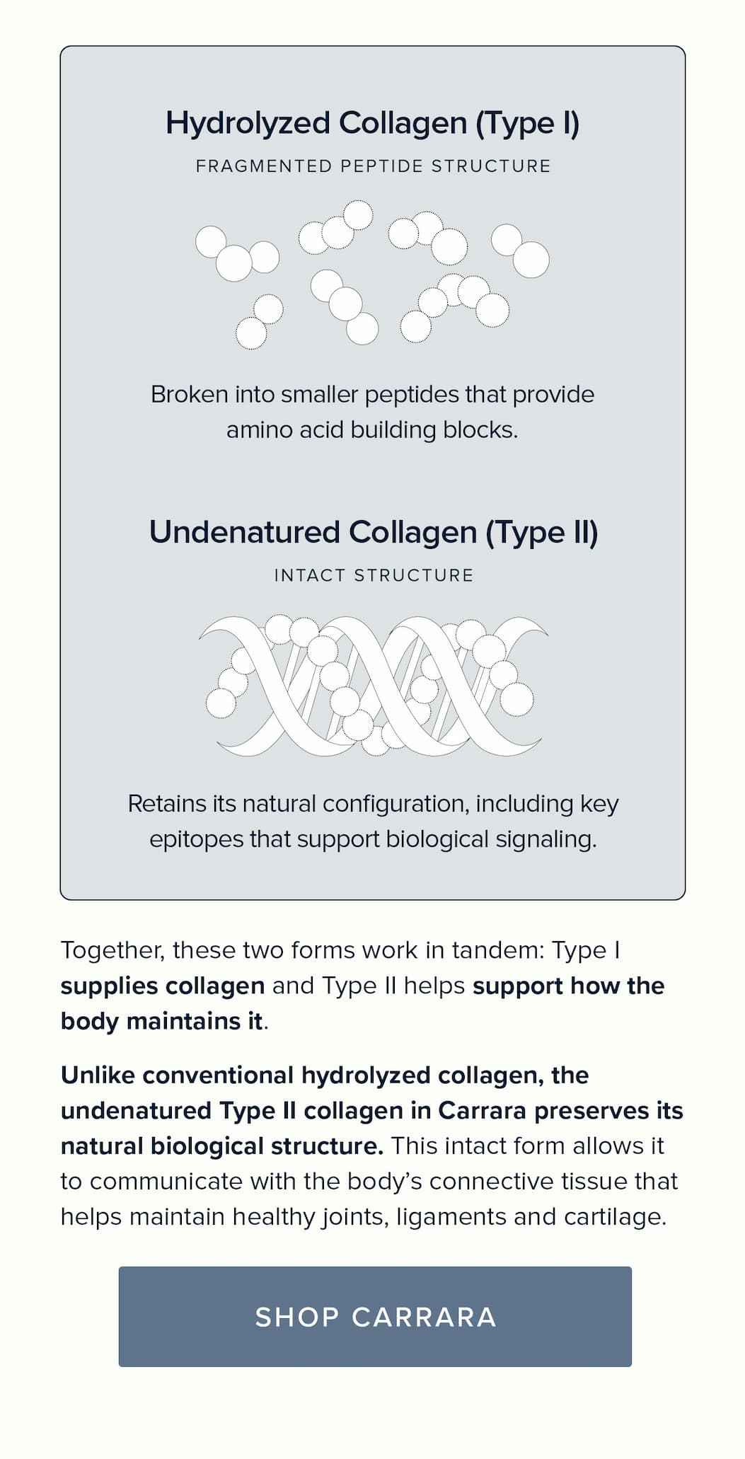 Carrara | Marine Collagen Peptides