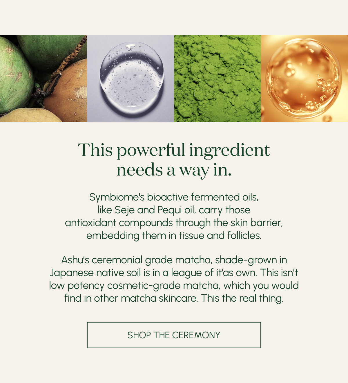 Shop The Ceremony