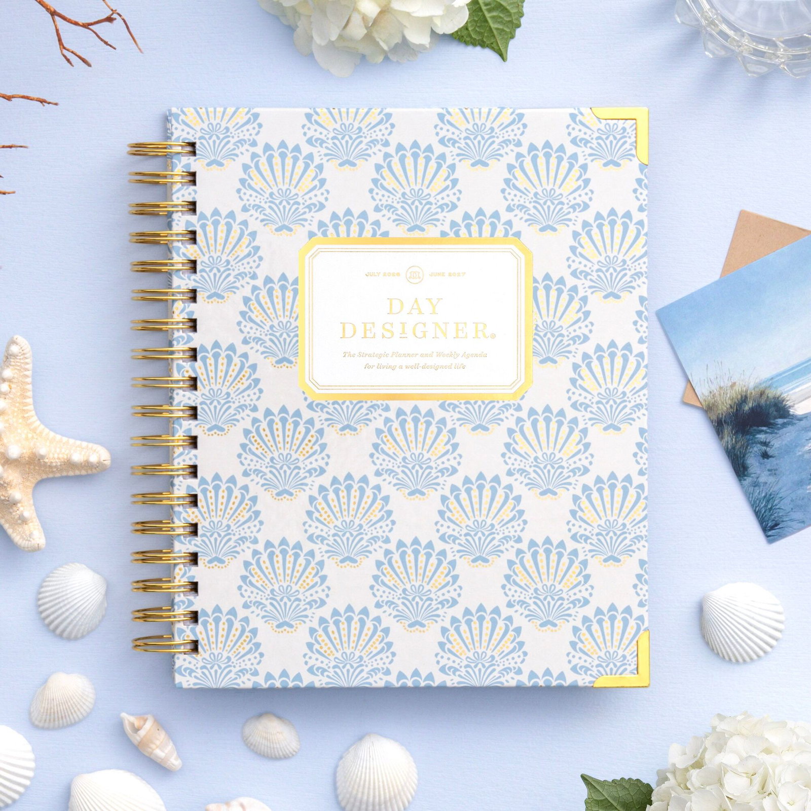 repeated blue and gold shell pattern day designer planner, light blue background, sea shells, pictures