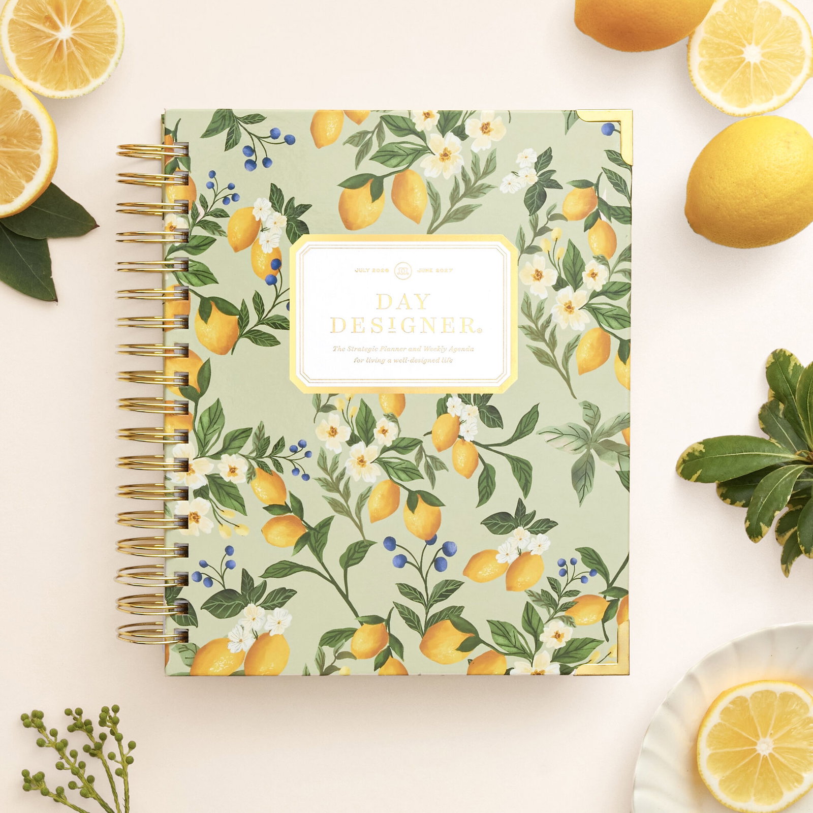day designer planner with lemon floral pattern and sage green background, peach background, lemons, dish, dried sage